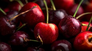 新鲜欲滴的诱人樱桃