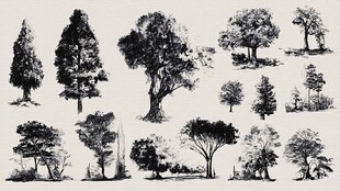 手绘多样树木素材集合