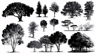 多样树木剪影集合