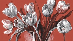 复古风插画郁金香花瓶