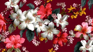 深红背景缤纷花卉图案