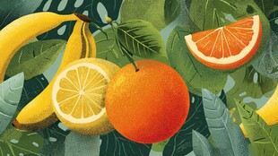 清新水果插画与繁茂绿叶