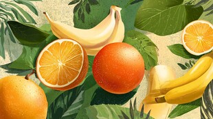 热带水果与绿叶插画展示