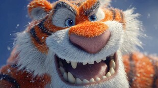 愤怒萌虎大特写