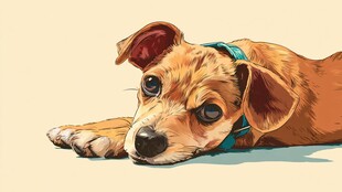 趴着的可爱小狗