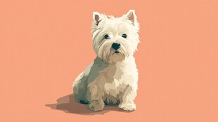 可爱西高地白梗犬插画