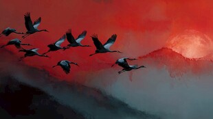 夕阳下群鹤翱翔图