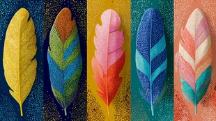 五彩斑斓羽毛的艺术展示