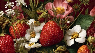草莓与花卉的梦幻组合