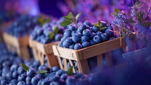 新鲜蓝莓装满木筐待售