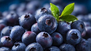 新鲜饱满蓝莓带翠绿叶片