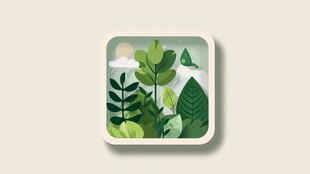 方形框中的清新绿植世界