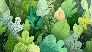 清新手绘风的多彩植物世界