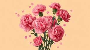 粉色康乃馨花束清新画面