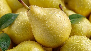 金黄带露梨 清新诱人