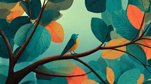 枝头小鸟栖于斑斓叶间