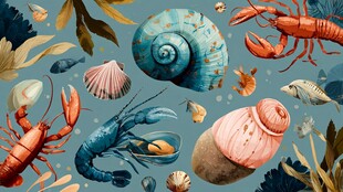 海洋生物与贝壳的梦幻图景