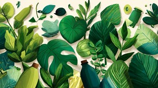 清新绿植插画背景图