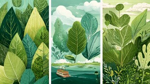 1 清新自然风绿叶插画组图