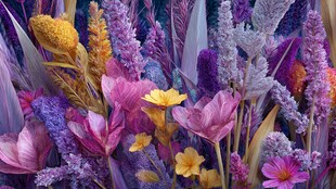 梦幻多彩花卉植物景观