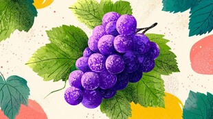 手绘紫葡萄与绿叶插画