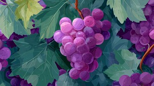 紫葡萄与绿叶的清新画面