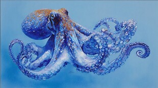 梦幻蓝紫章鱼水中舞动