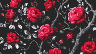 黑底红玫瑰花卉图案