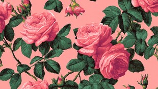 粉色玫瑰花卉无缝图案