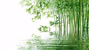 竹林映水 清新自然之景