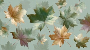 多彩枫叶背景图案