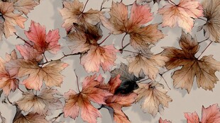 秋日枫叶水彩图案纹理