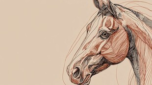 马头线条素描艺术画作