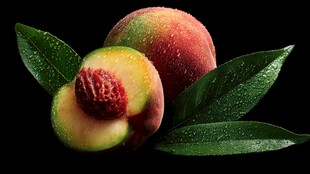 新鲜水蜜桃带叶特写