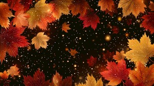 秋意枫叶背景图