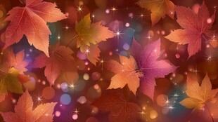 梦幻秋叶背景图