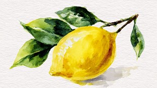 水彩绘柠檬与绿叶