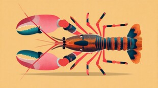 彩色卡通风的大龙虾形象