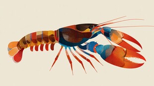 彩色艺术风的活力小龙虾