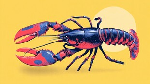 鲜艳色彩的卡通大龙虾