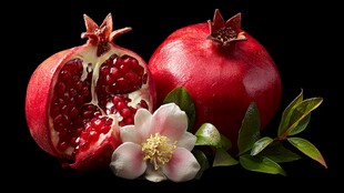 红石榴与白花的清新组合