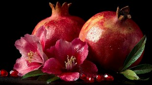 红石榴与娇艳花朵的组合