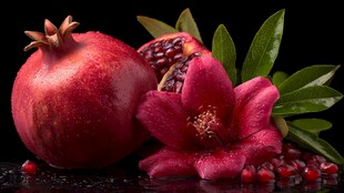 红石榴与娇艳花朵的静物美