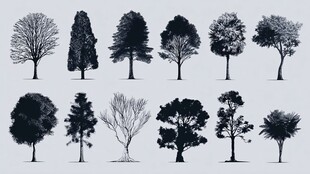 多样树木剪影集合