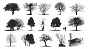 黑白树木剪影素材集合