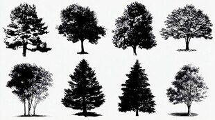 多样树木剪影集合