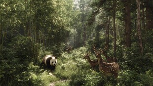 竹林中熊猫与鹿的和谐场景