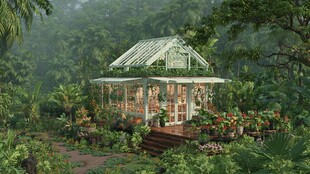 森林中的梦幻玻璃花房