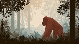 森林中的红毛猩猩身影