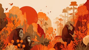 猩猩家族的丛林奇幻世界